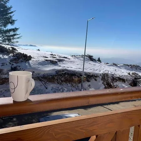 Mr Alek - Luxury Apartment Kopaonik