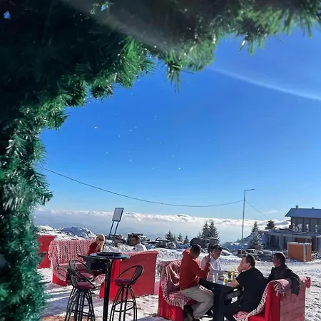 Mr Alek - Luxury Apartment