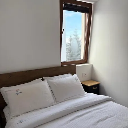 Apartment Mr Alek - Luxury *