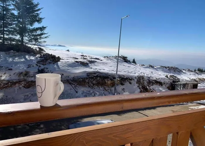 Mr Alek - Luxury Lägenhet Kopaonik